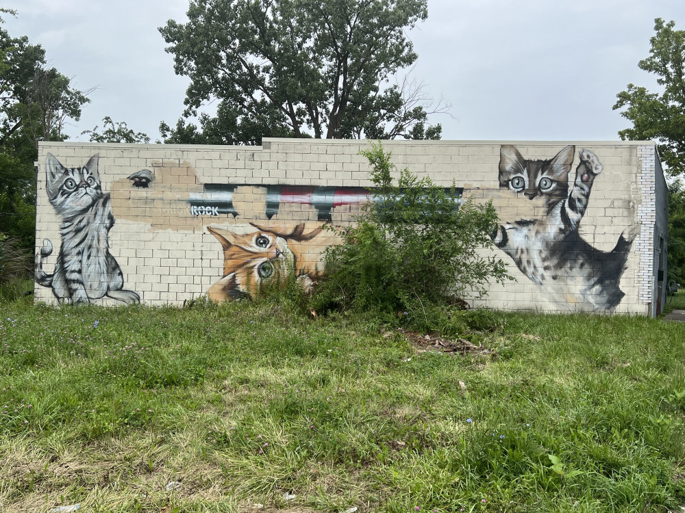 mural in Detroit by artist Jules Muck.