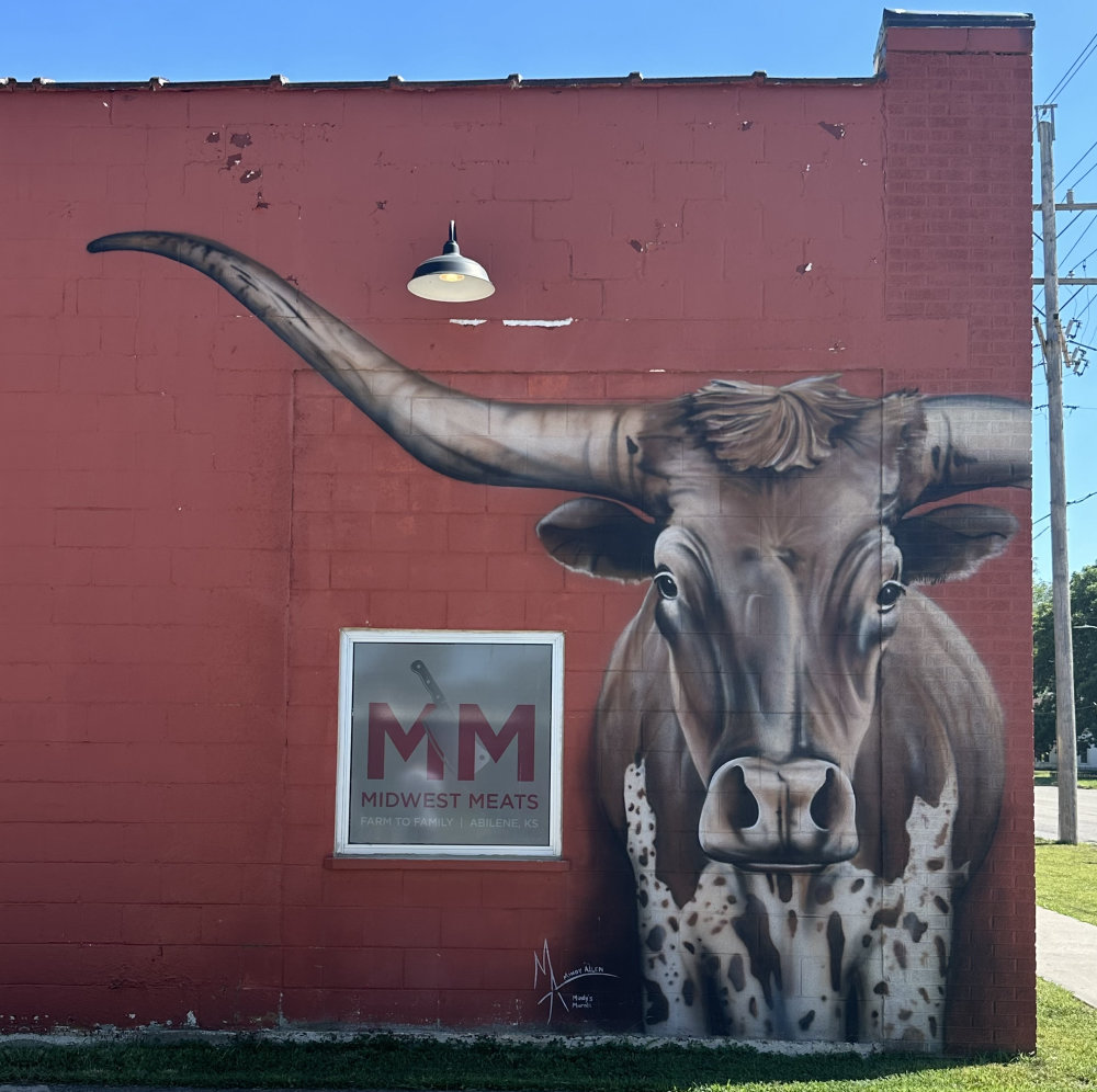 mural in Abilene by artist Mindy's Murals.