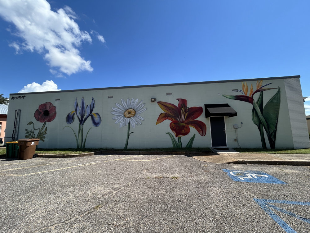 mural in Biloxi by artist unknown.