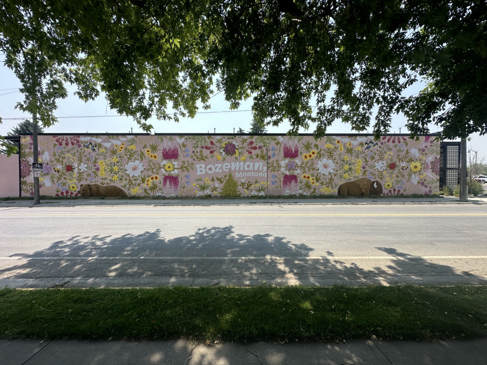 mural in Bozeman by artist unknown.