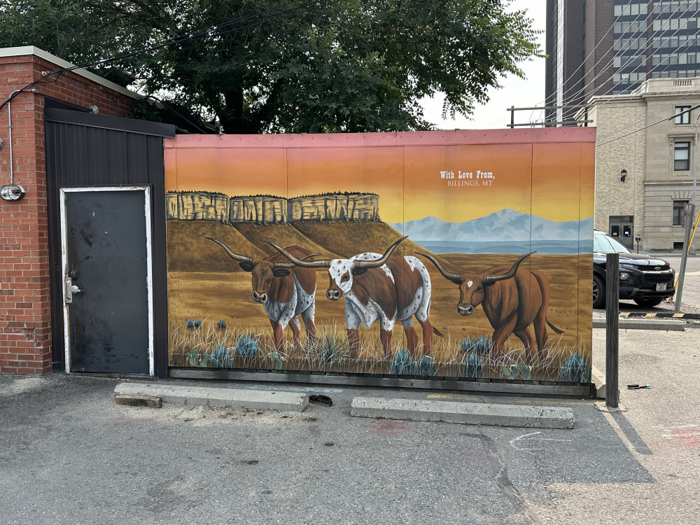 mural in Billings by artist unknown.