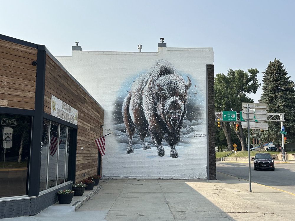 mural in Buffalo by artist unknown.