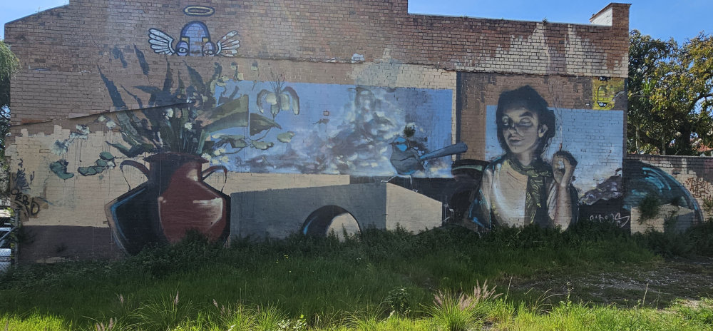 mural in Newtown by artist unknown.