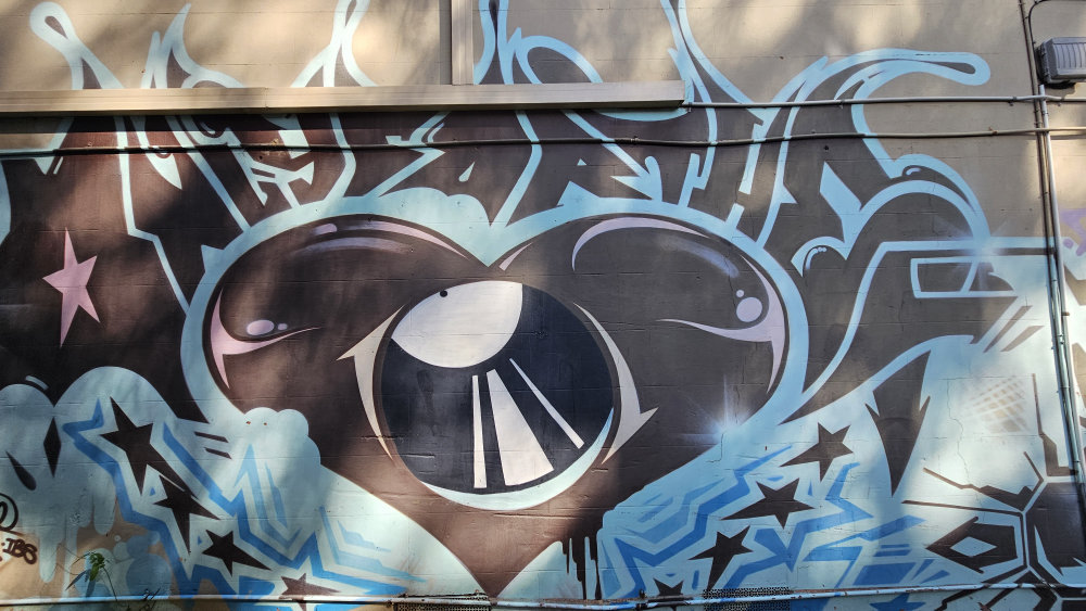 mural in Newtown by artist unknown.