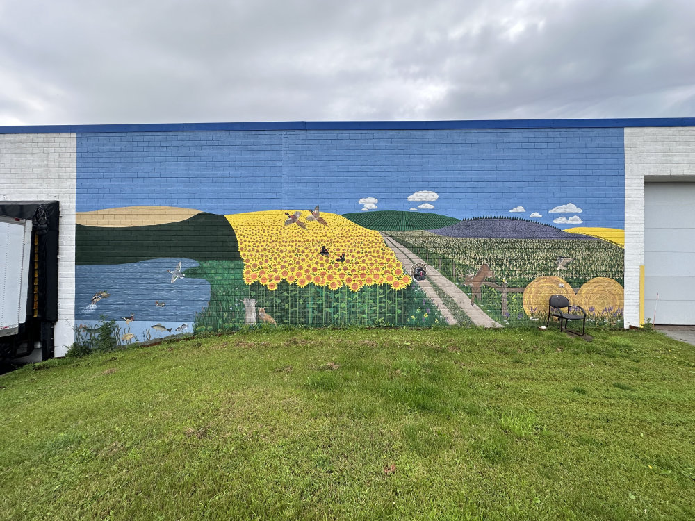 mural in Jamestown by artist unknown.