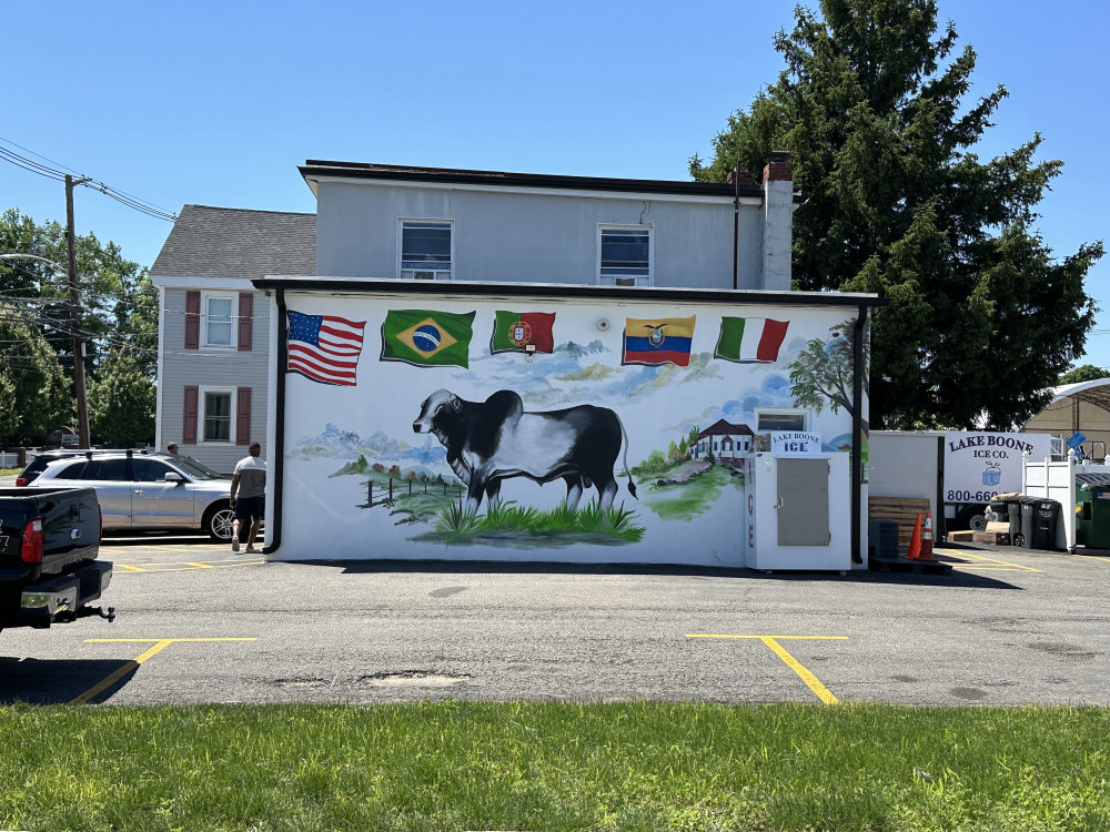 mural in Milford by artist unknown.