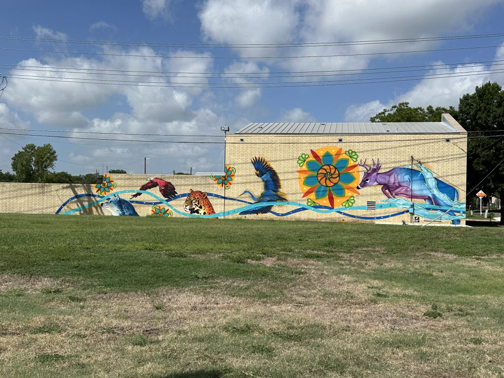 mural in San Marcos by artist unknown.