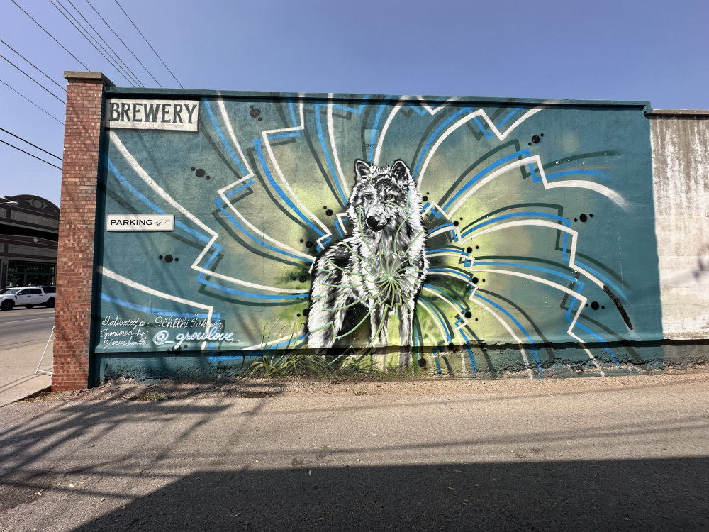 mural in Rapid City by artist unknown.