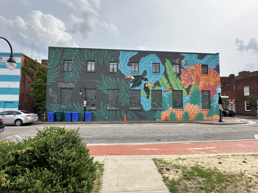 mural in Fayetteville by artist unknown.