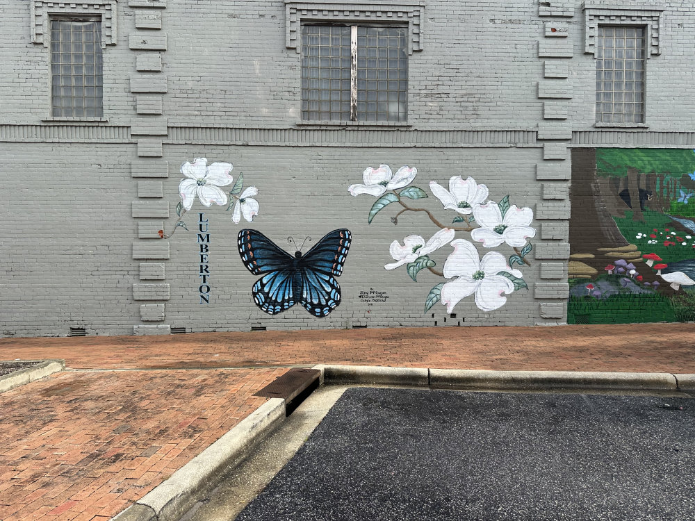 mural in Lumberton by artist unknown.