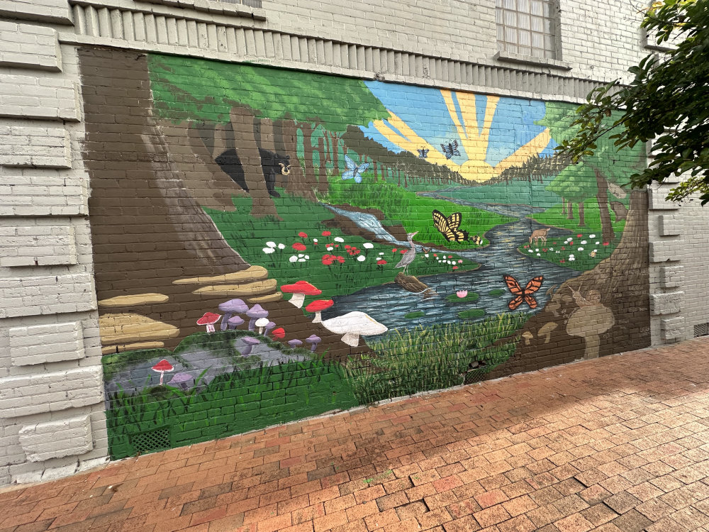 mural in Lumberton by artist unknown.