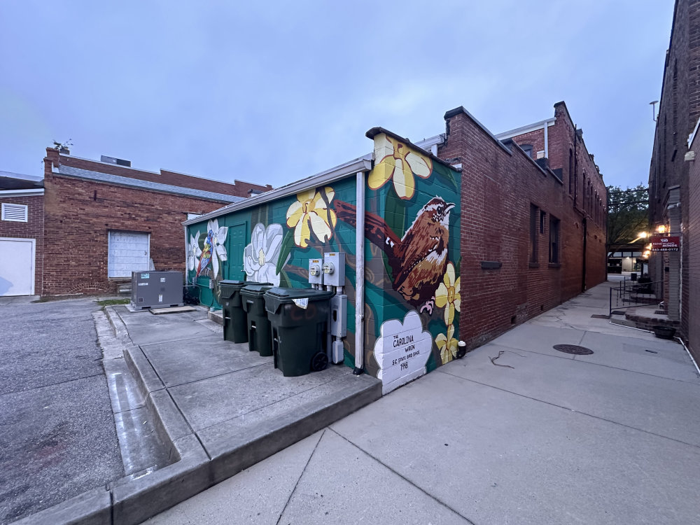 mural in Conway by artist unknown.