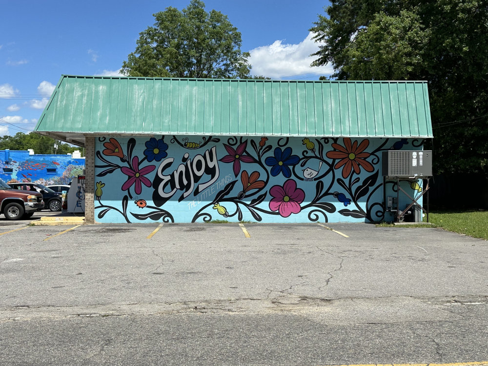 mural in Cayce by artist unknown.