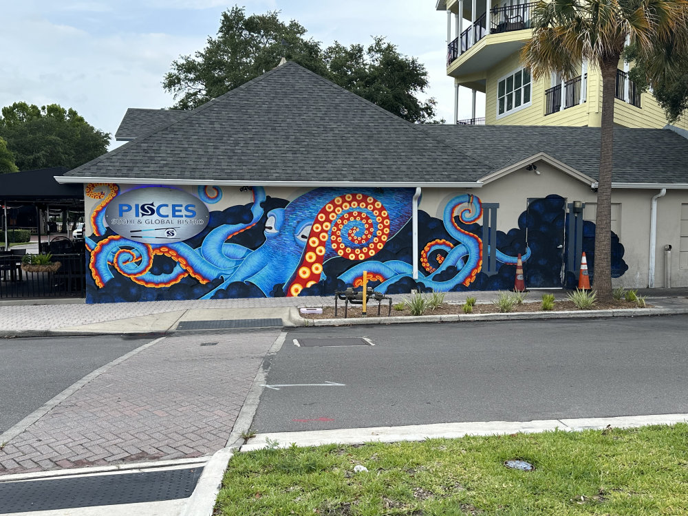 mural in Dunedin by artist unknown.