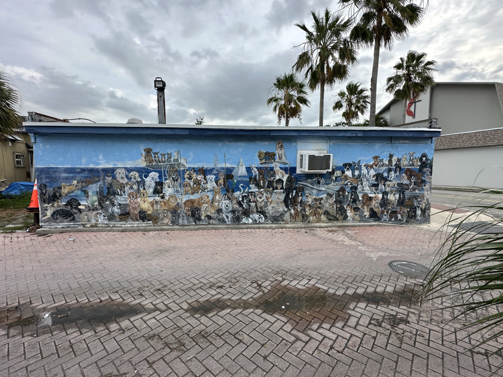 mural in Dunedin by artist unknown.