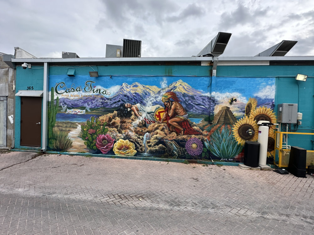 mural in Dunedin by artist unknown.