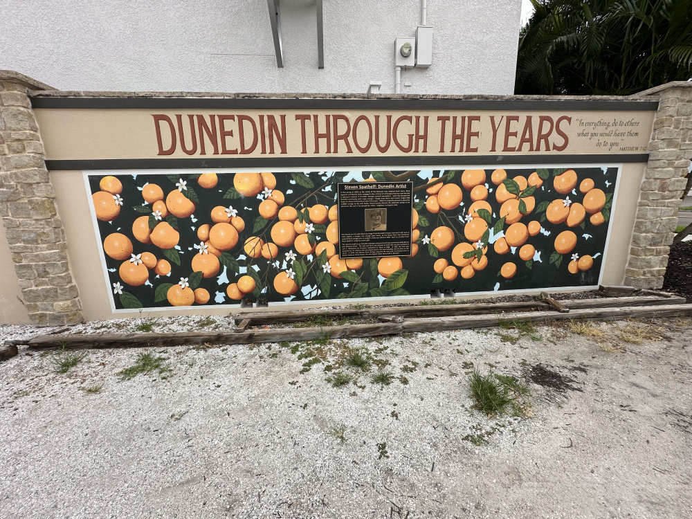 mural in Dunedin by artist unknown.