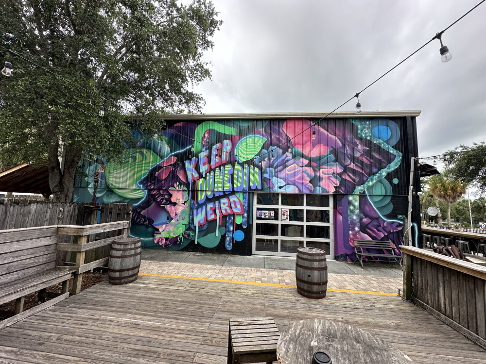 mural in Dunedin by artist unknown.