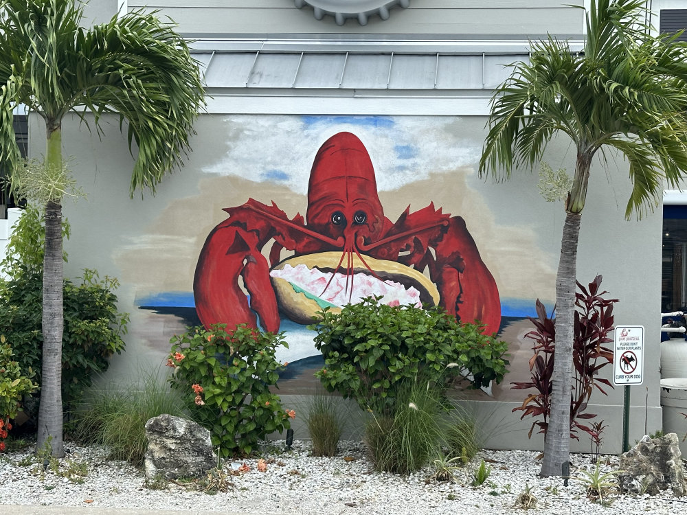 mural in Dunedin by artist unknown.