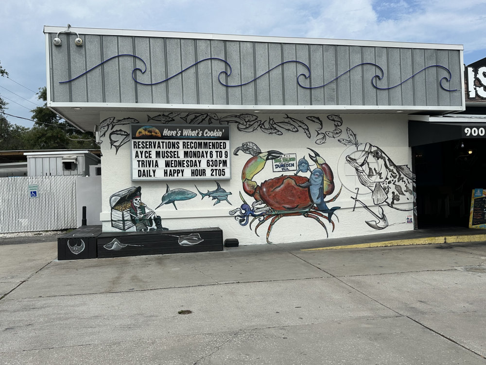 mural in Dunedin by artist unknown.