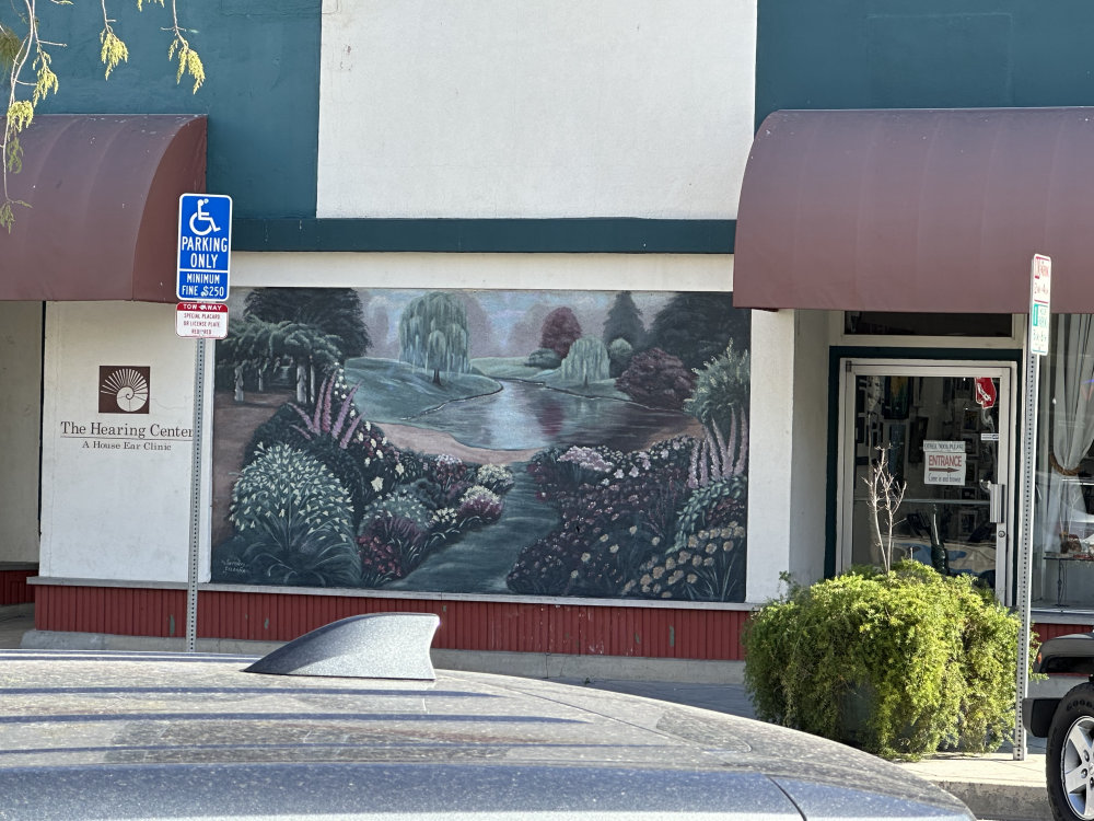 mural in Bakersfield by artist unknown.