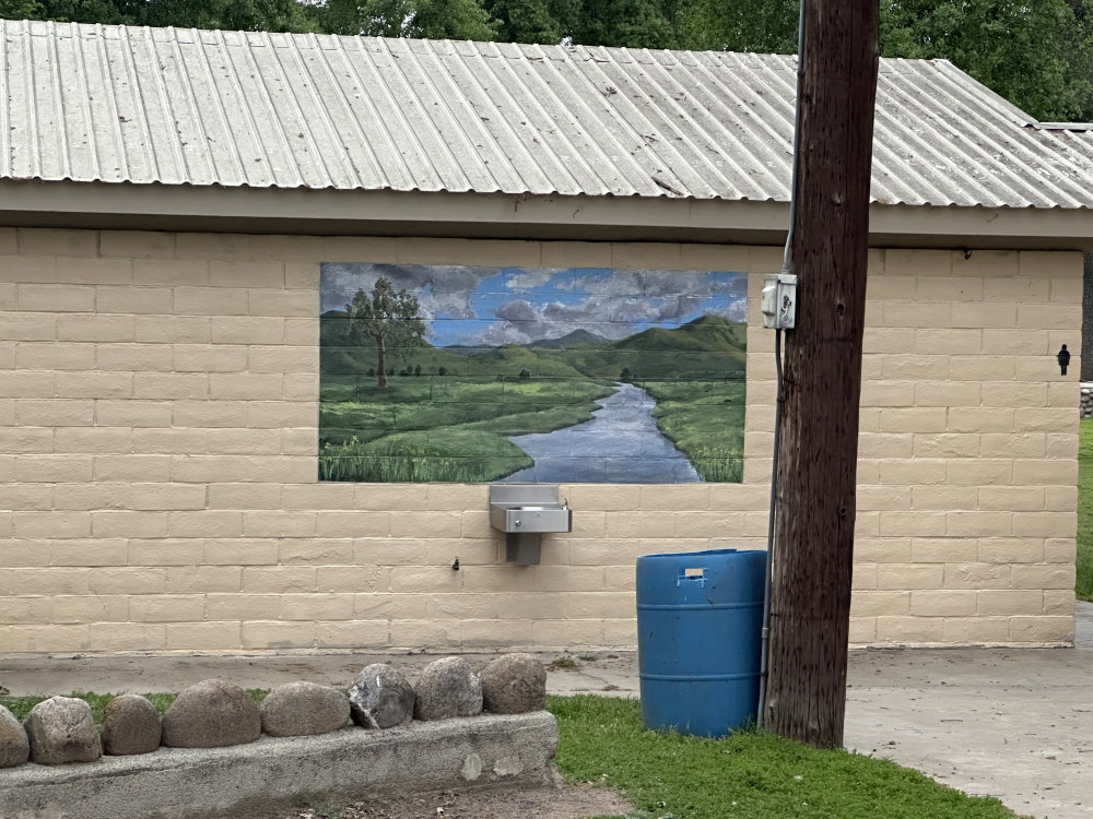 mural in Visalia by artist unknown.