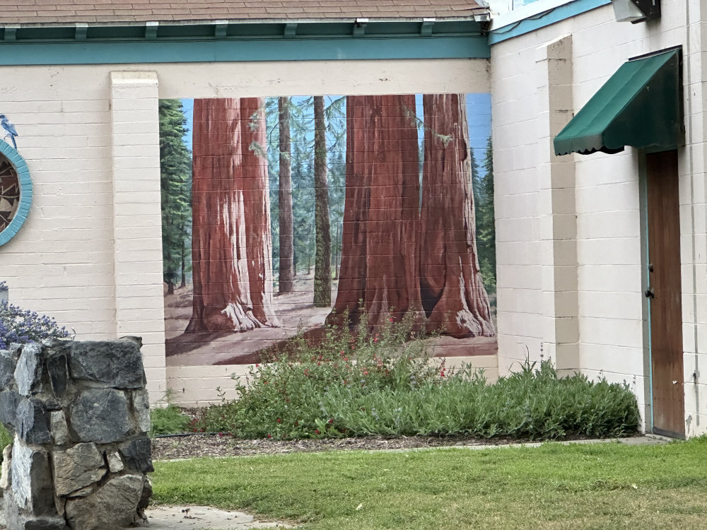 mural in Visalia by artist unknown.