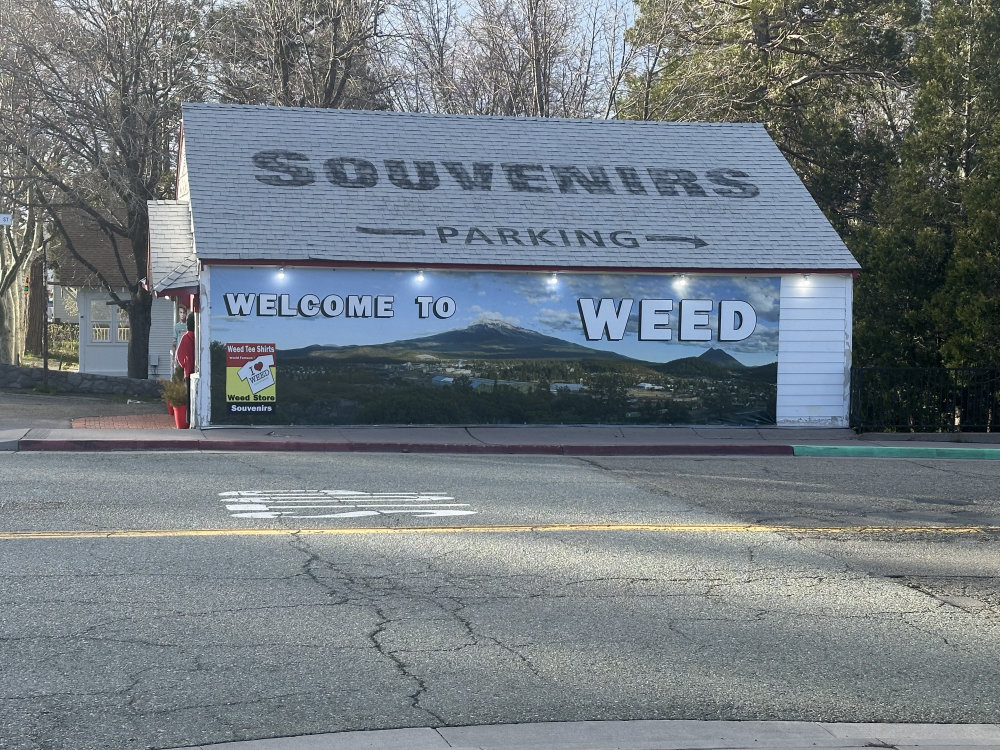 mural in Weed by artist unknown.