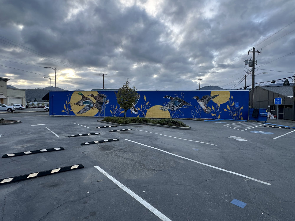 mural in Grants Pass by artist unknown.