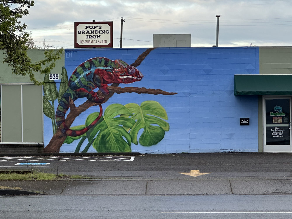 mural in Albany by artist unknown.