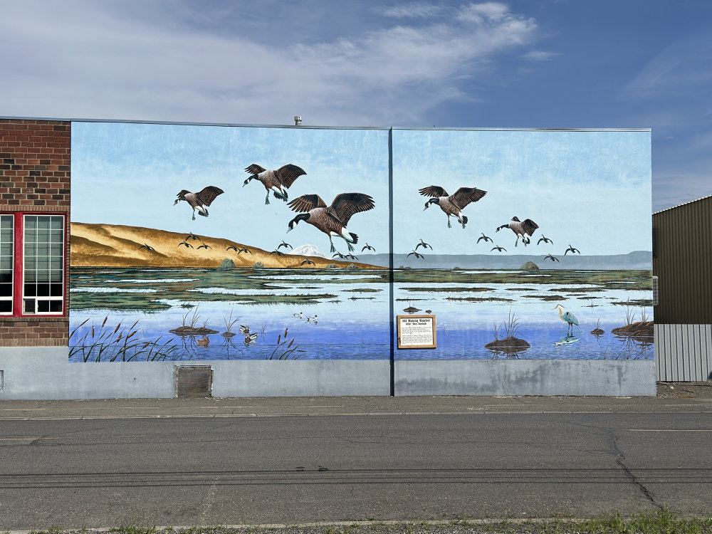 mural in Toppenish by artist unknown.