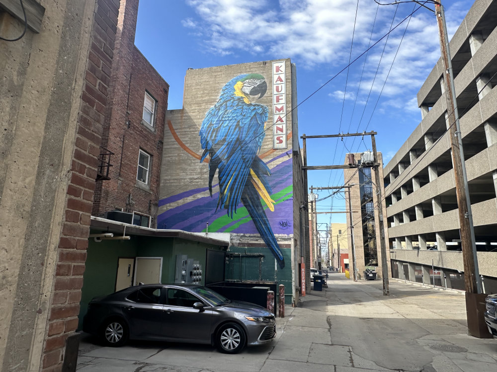 mural in Great Falls by artist unknown.