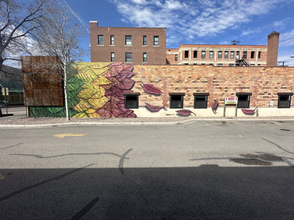 mural in Great Falls by artist unknown.