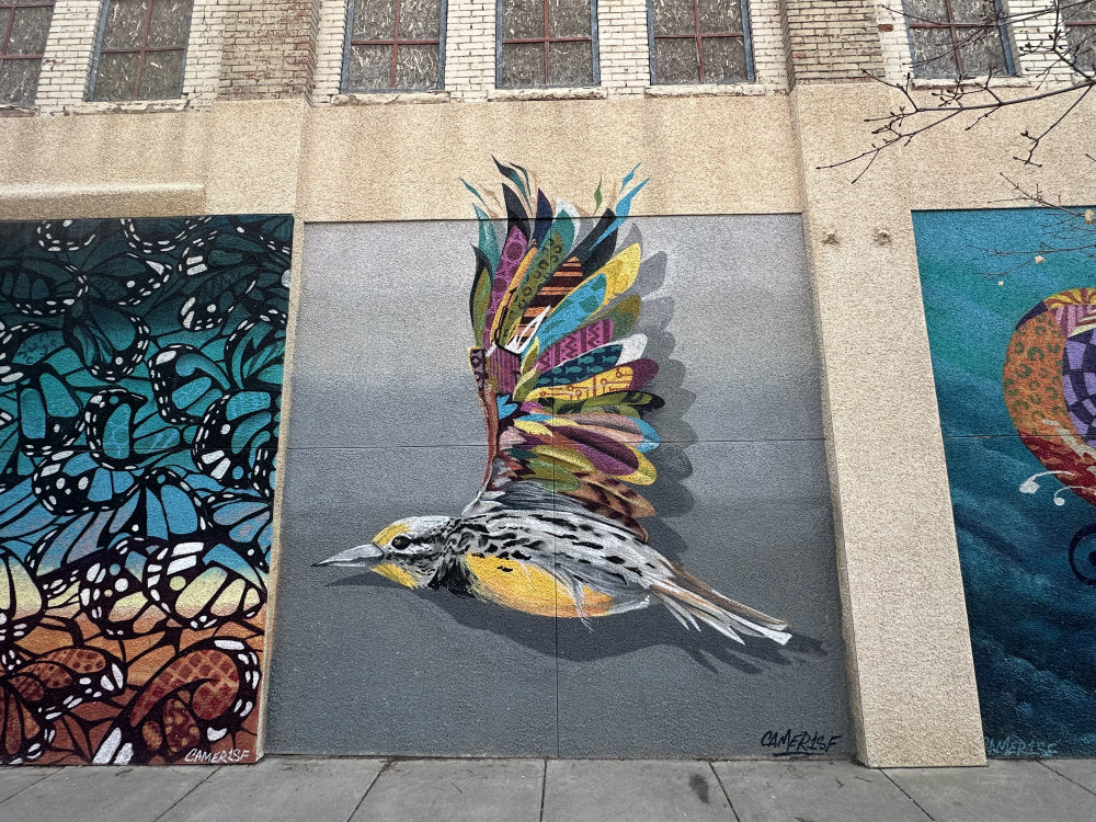 mural in Great Falls by artist Camer1.