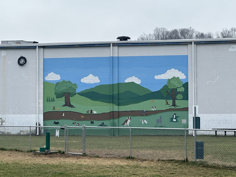 mural in Princeton by artist unknown.