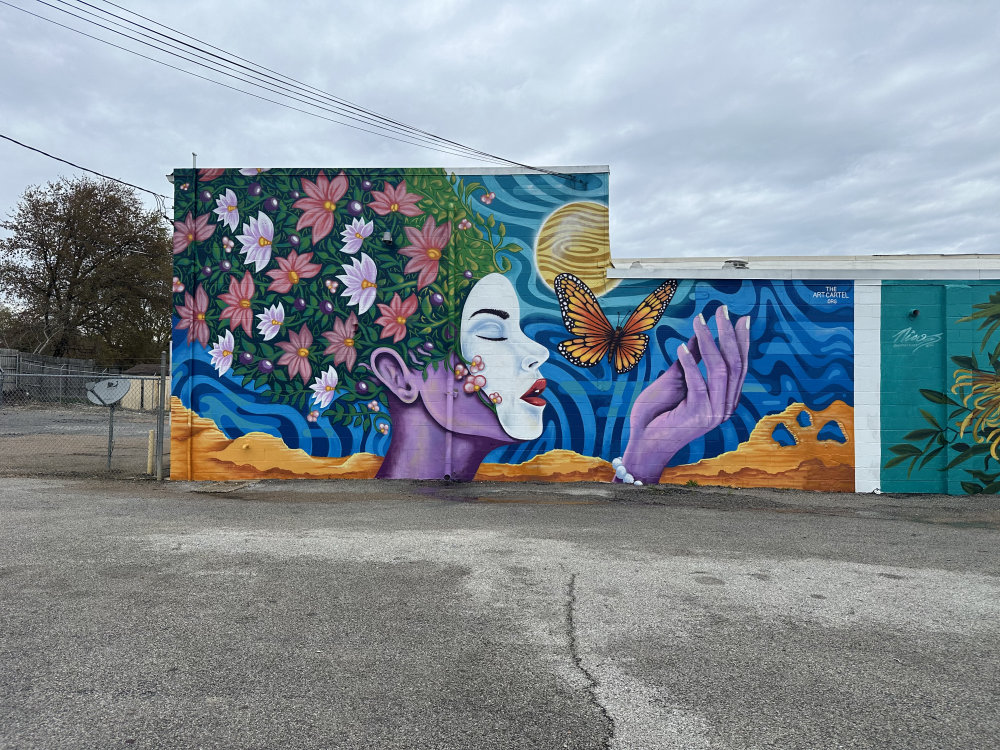 mural in Memphis by artist unknown.