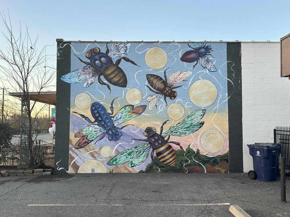 mural in Oklahoma City by artist unknown.