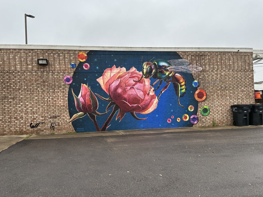 mural in College Station by artist unknown.