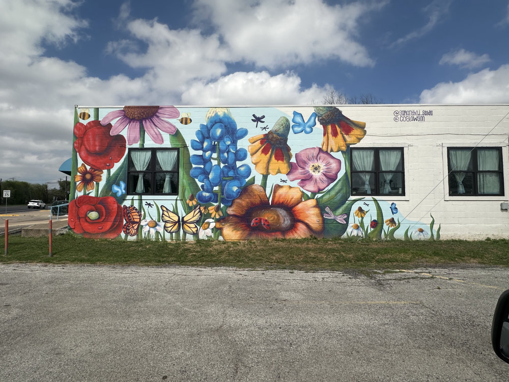 mural in Austin by artist unknown.