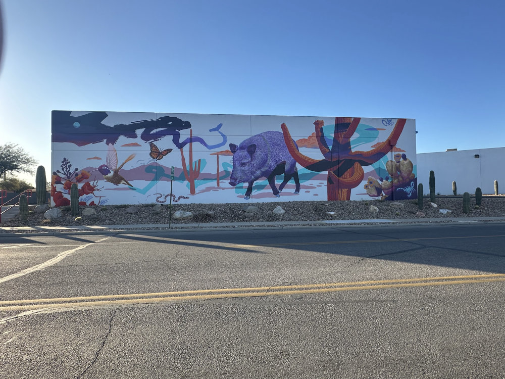 mural in Tucson by artist unknown.