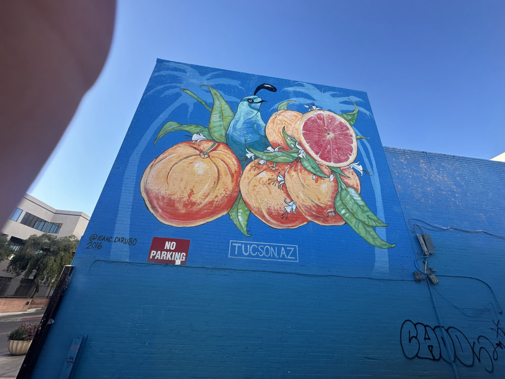 mural in Tucson by artist unknown.