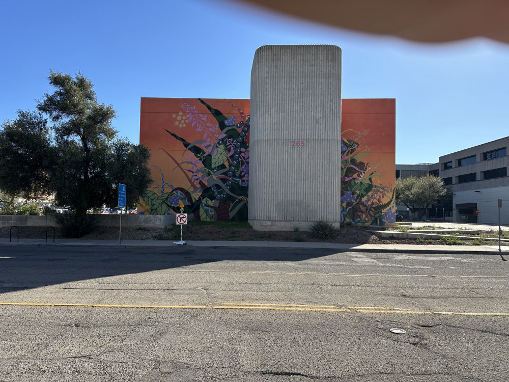 mural in Tucson by artist unknown.