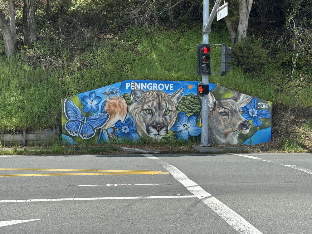 mural in Penngrove by artist unknown.