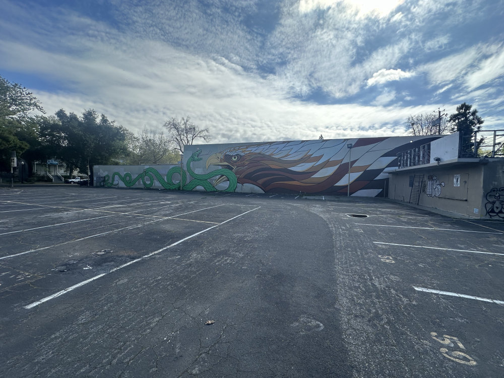 mural in Sacramento by artist unknown.