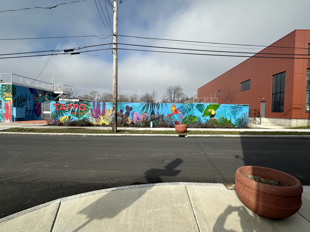 mural in Buffalo by artist unknown.