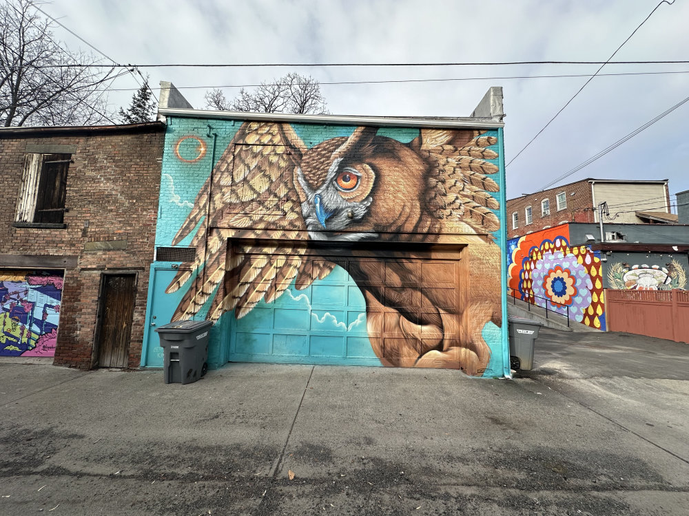 mural in Troy by artist unknown.