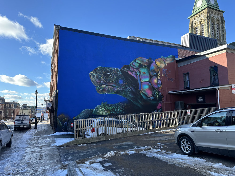 mural in Saint John by artist unknown.