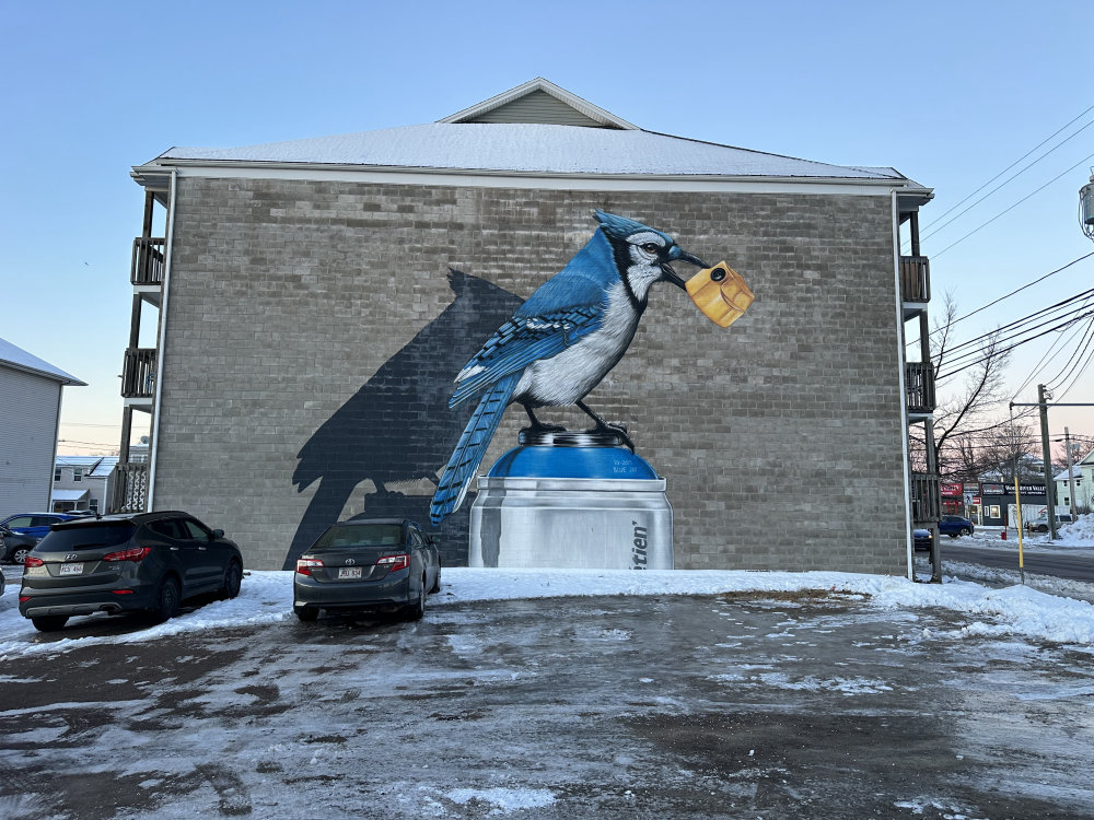 mural in Moncton by artist unknown.