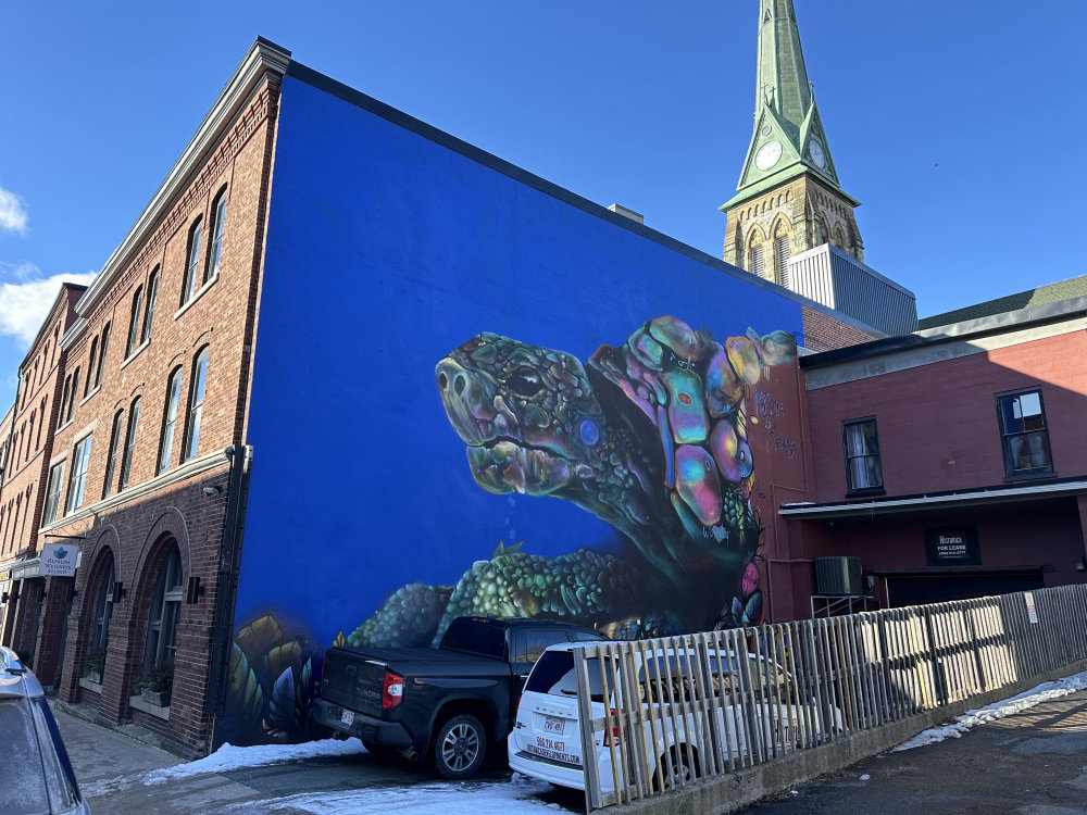 mural in Saint John by artist unknown.