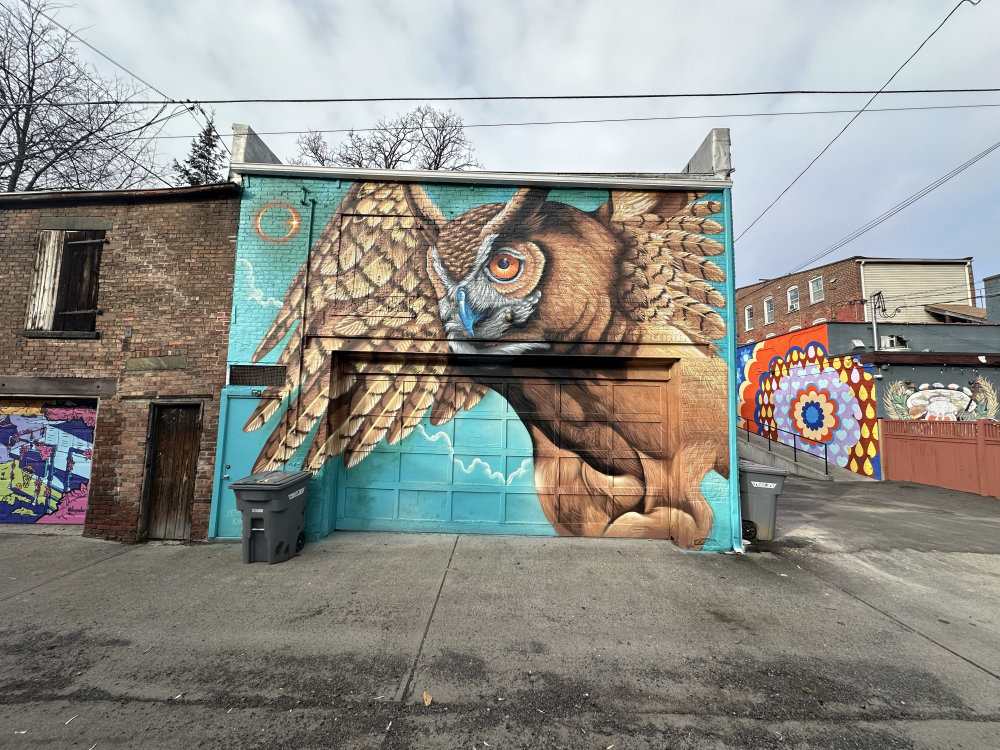 mural in Troy by artist unknown.